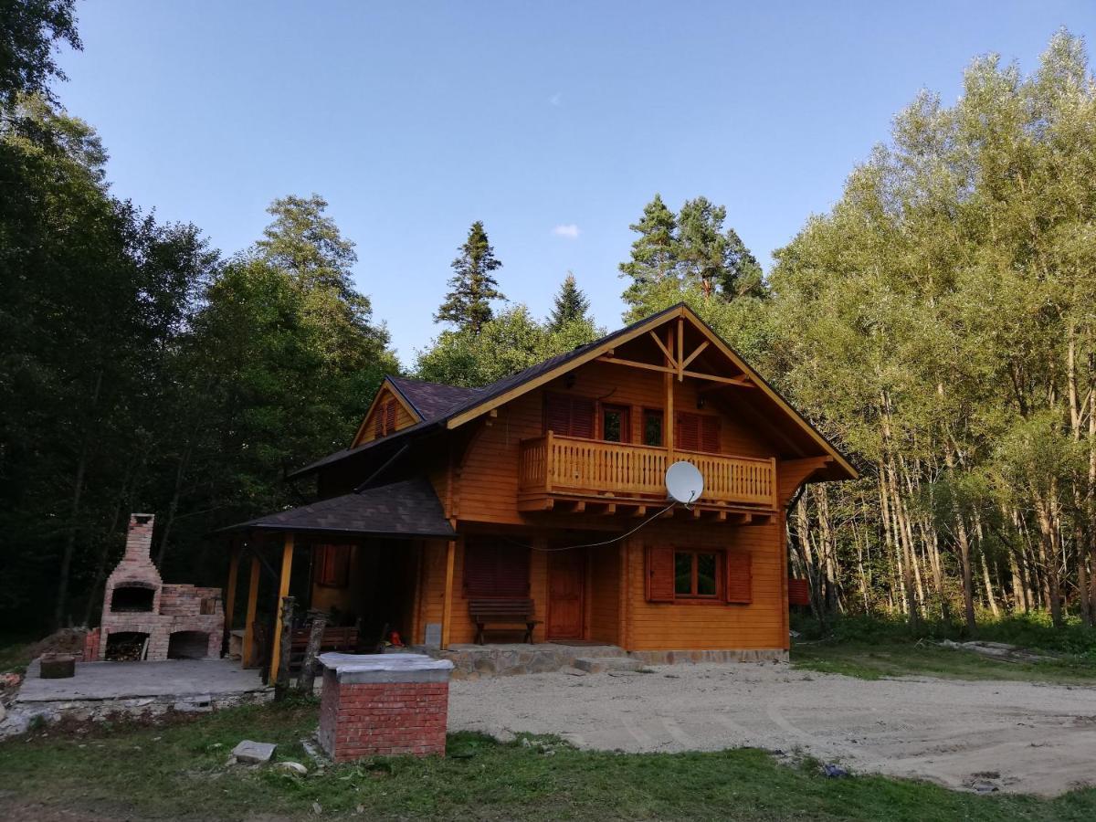 Chalet By The River Văliug Exterior foto