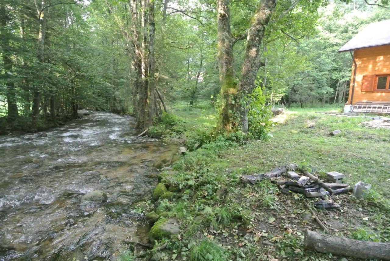 Chalet By The River Văliug Exterior foto